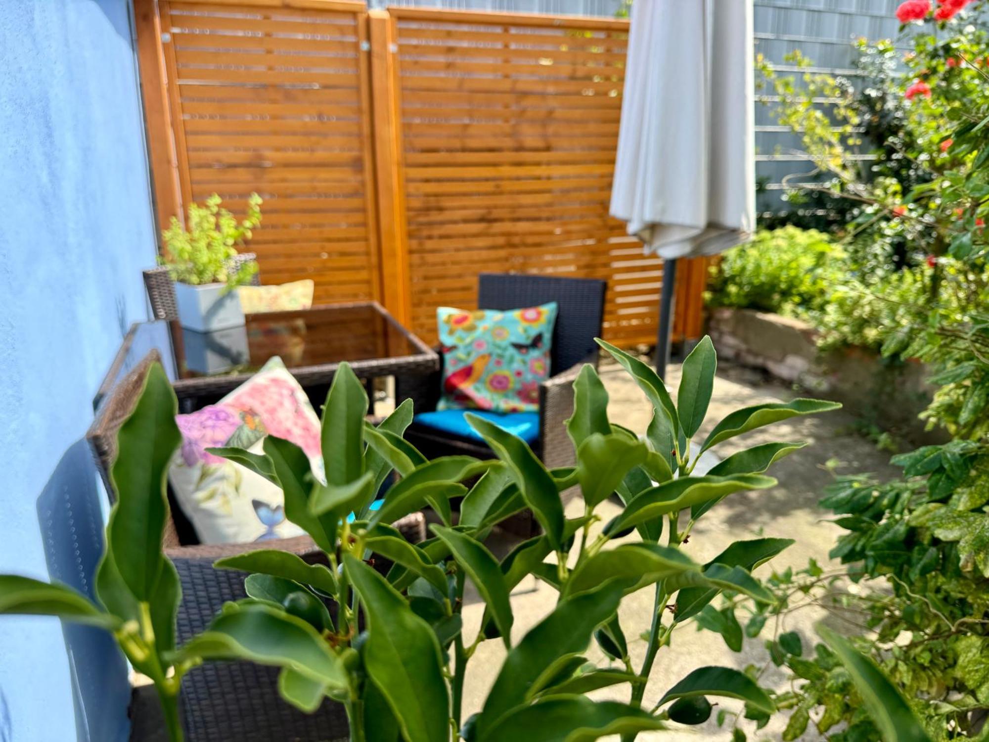 Apartment Im Elbtal 바인볼라 외부 사진